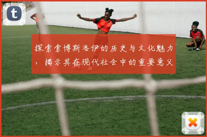 探索索博斯洛伊的历史与文化魅力，揭示其在现代社会中的重要意义
